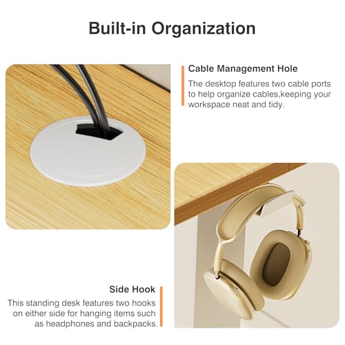 Sweetcrispy Electric Standing Desk, Computer Desk, 48x24 Inch