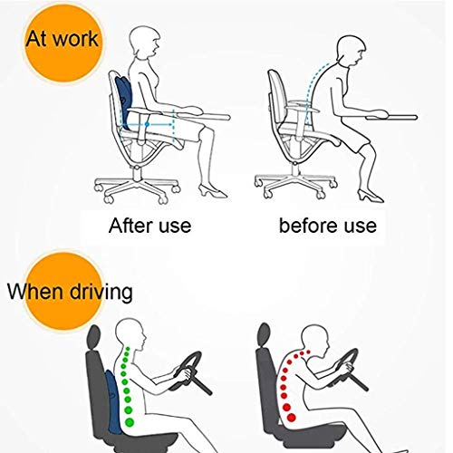 UIOLCFG Lumbar Pillow - Seat Cushion Orthopedic Memory Foam and Support Pillow Back by Upper and Lower for Chair Pain