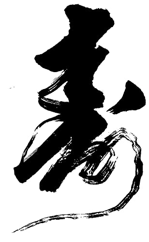 JapanBargain 1980x16, Japanese Sumi Ink Chinese Brush Calligraphy Ink Painting Drawing Works India Ink Made in Japan, Black, Set of 16