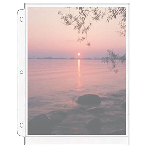 StoreSMART - Photo Page for 3-Ring Binders - Archival-Safe Plastic - One 8" x 10" Pocket - Holds Two Photos - 50 Pack - CF38B-50
