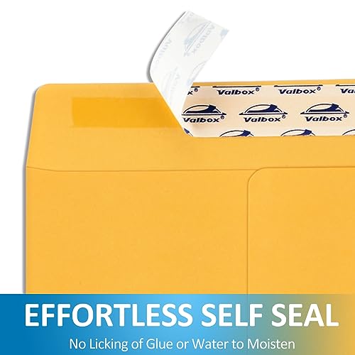 ValBox 9x12 Self Seal Security Catalog Envelopes 250 Packs Brown Kraft Envelopes with Peel and Seal Flap for Mailing, Organizing and Storage