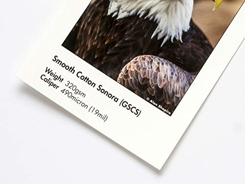 Ilford GALERIE Smooth Cotton Sonora Inkjet Paper, 320 gsm, 6x4", 50 Sheets