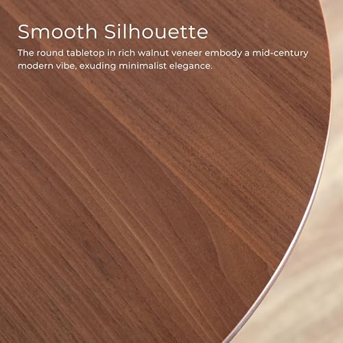 Furniture of America Callum Mid-Century Modern Solid Wood 2 Piece Brown Round Side Table Set with Upholstered Chair, Easy Assembly, for Home, Office, Living Room, Walnut
