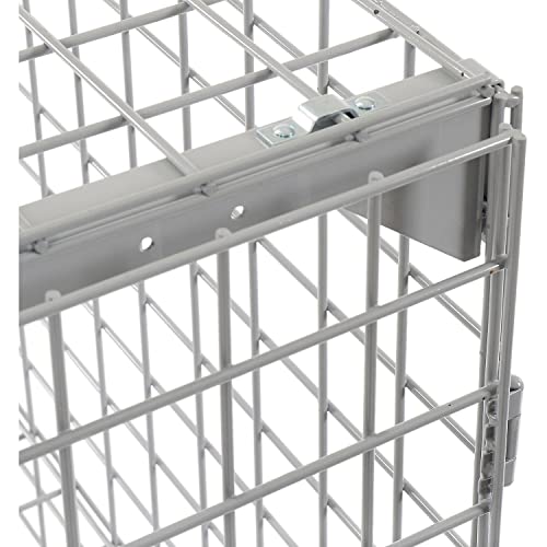 Global Industrial Commercial 1-Tier 2 Door Wire Mesh Security Locker, Gray