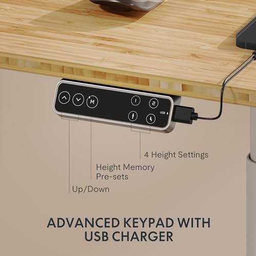 FLEXISPOT E6 Pro Organic Modern Bamboo Standing Desk, Electric Dual Motor 3-Stage Height Adjustable Desk with Oval Legs, Heavy Duty 330lbs, 48" x 24" Bamboo Desktop, White Frame