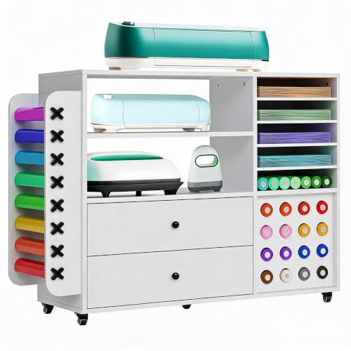 24 Vinyl Holders,2 Drawers Craft Storage Cart,Rolling Craft Organizer