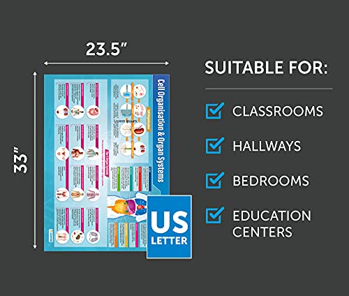 Biology Science Classroom Posters, Set of 13, EXTRA LARGE, 33" x 23"