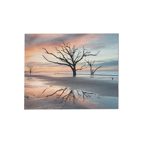 AlumaComp Aluminum Archival Painting & Mounting Panel 20x24", 2 Pack, Double-Sided, 100% Archival, Acid-Free, 4mm Thick, for All Media