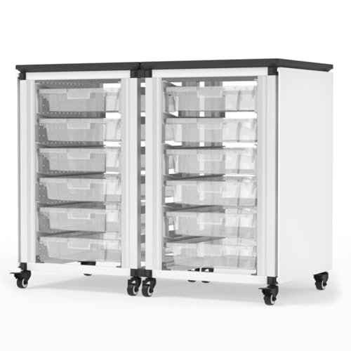LUXOR MBS-STR-21-12S Modular Classroom Storage Cabinet - 2 Side-by-Side modules with 12 Small Bins