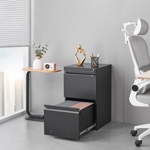 Approgreent 2 Drawer File Cabinets for Home Office, Vertical File Cabinet with Lock, Office Cabinet for A4/Letter/Legal Size, Under Desk Filing Cabinet, Assembly Required(Black)