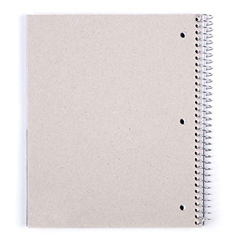 Mintra Office Durable Spiral Notebooks, 3 Subject (Orange, College Ruled 12pk)
