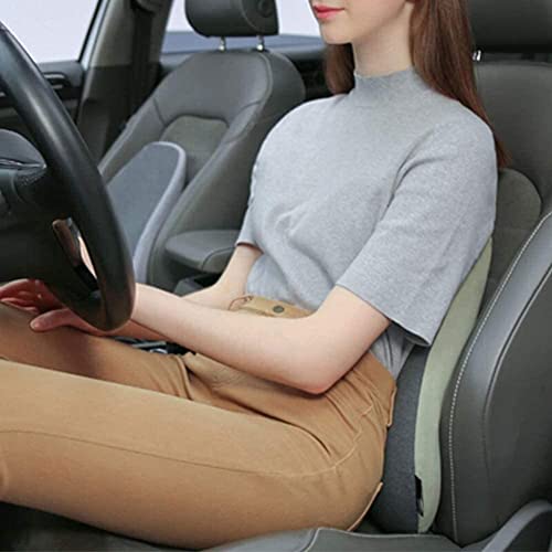 GIENEX Lumbar Support Pillow for Office Chair, Back Support Pillow, Fits The Waist Curve Memory Foam Back Cushion, Ergonomic Back Support Pillow for Car Seat, Wheelchair