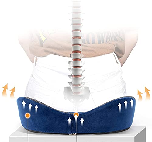 GIENEX Perfect Cushion, Memory Foam & Seat; Quality & Therapeutic Comfort Designed to Cradle & Support Your Body， Helps to Relieve Back, Hip & Tailbone Pain