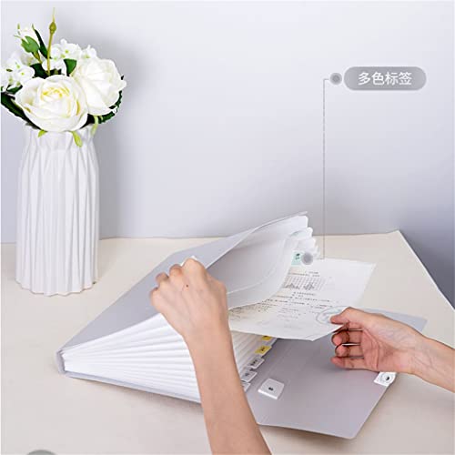 58GXCAAMOT Folder A4 Paper Folder 13 Grid Information Book School Office Business Storage Folder Transparent (Color : A Size