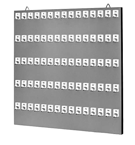 Stand Company Key Holder, # 75PGS Key Rack for wall with 75 Numbered Hooks for Rentals or Offices (75 Sets of Tag & Ring Included) -Made in USA