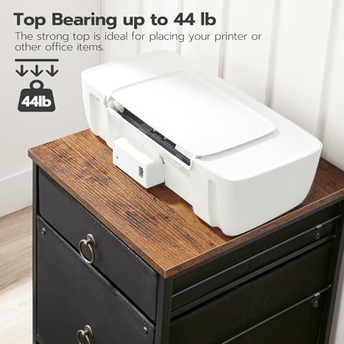 HOOBRO File Cabinet, 2-Drawer Vertical Mobile Office Cabinet, Rolling Printer Stand, for A4/Letter Size Files, Nonwovens Drawer, for Home Office, Rustic Brown and Black BFK21WJ01