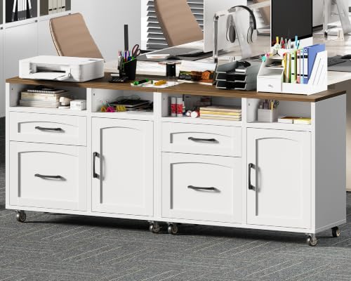 RALGEND Lateral File Cabinet 2 Drawers, Filing Cabinets for Home Office