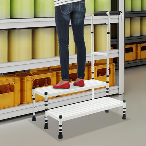 Step Stool with Handle 2 Step Steel Frame Non-Slip Rubber Feet Height
