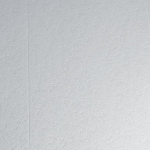 Blumberg Will Cover, “Will” Engraved in Black, 65# Textured Finish Bright White Archival Cover Stock, Letter Size, 100 per Box