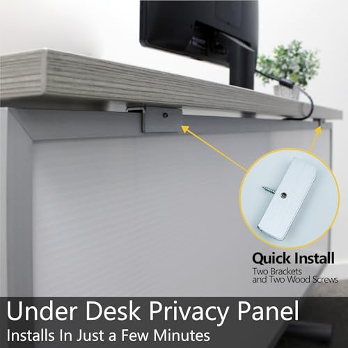 OBEX Polycarbonate Table Mounted Modesty Panel Easy Install Privacy Shields for Reception, Office, and Student Desk, 12" x 60", Translucent