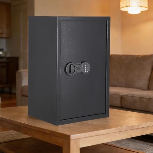 Garvee Secure Wall Paint - Heavy Duty Steel, Fireproof & Waterproof - Double Key and Digital Lock - Ideal for Money, Jewellery, Documents, Passports - Size FD-2535HC 600×380×310mm