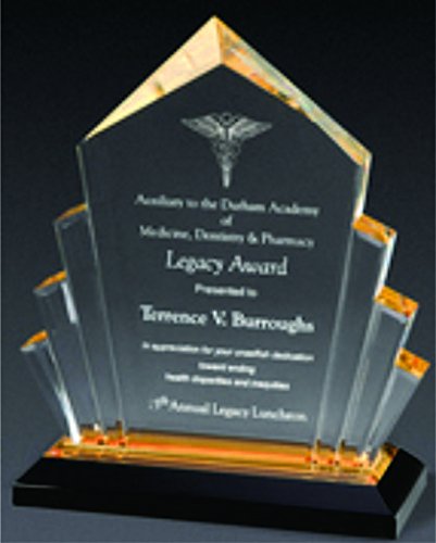 Peaked Arrow Award (6" x 9" x 2.5", Blue)