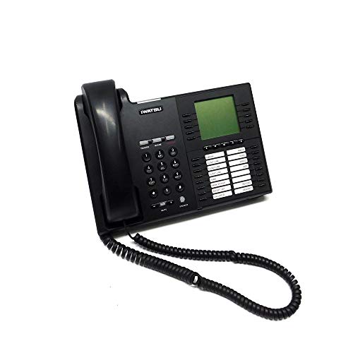 Iwatsu Icon IX-5910 IP Telephone