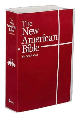 Autom Clear Vinyl Bible Cover-24pk