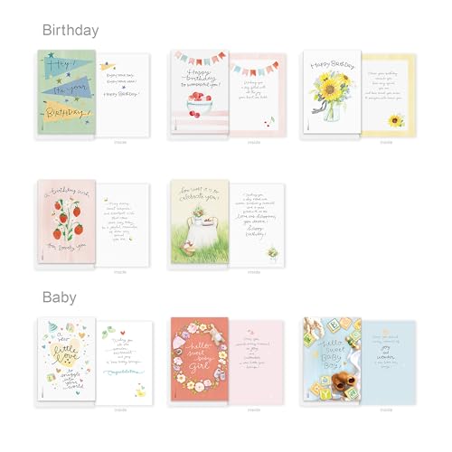 American Greetings 65-Count All-Occasion Greeting Card Pack, Assorted Watercolor & Playful Illustration Designs designed by Kathy Davis Studios