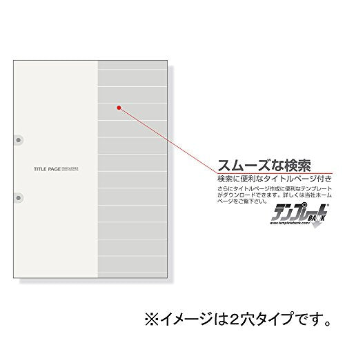 Maruman LT4206 Index A4, 2 Holes, Index Sheets, 6 Tiers, 1 Pair, 10 Sheets