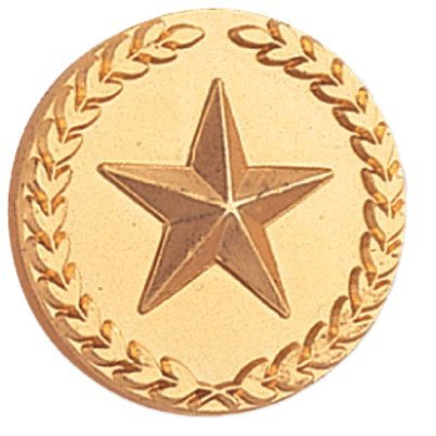 SHOP AWARDS AND GIFTS Gold Star with Wreath Metallic Lapel Pins for Students Appreciation Reward School Teacher Supplies Employees, Bulk Pack of 12, Poly Bagged, 7/8 Inch