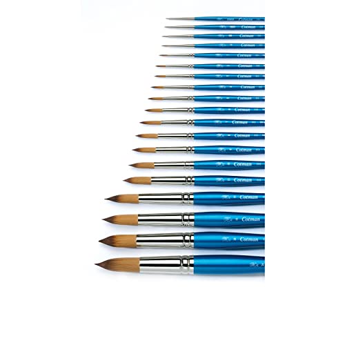 Winsor & Newton Cotman Short Handle Brushes, Set of 4, (Round 2 & 4, Rigger 1, One Stroke 1/4")
