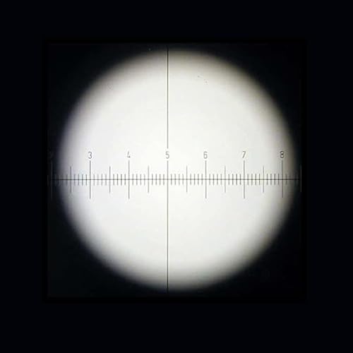 Microscope Accessories Kit WF10X 20mm Microscope Eyepiece Microscope Lens Accessories Wide Angle High Eye-Point Eyepiece with Cross Reticle Scale 30/30.5mm Microscope Slides(30.5mm with Scale)