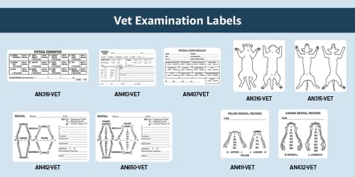 Veterinarian Feline Dental Examination Stickers, Doctor Stuff Veterinarian Stickers, 2-1/2" x 2-1/2", White, 390/Roll, Tabbies Veterinary V-AN411