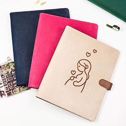 File Organizer Colored Flannel Folders Document Filing Storage Report Presentation Folder Holds 100 Sheets of Paper Suitable for Business or School Colored File Folders (Color : E) (E)