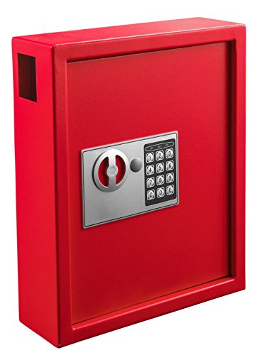 Adiroffice Key Holder Wall Mount - 40-keys Lock Box with Code, Key Cabinet Wall Mount, Valet Parking Key Box, Car Dealer Key Cabinet - Space Saving Locking Key Box Wall Mount with Digital Lock