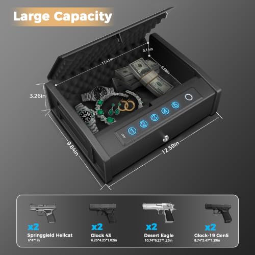 CTSAFEPRO Gun Safe for Handgun - Biometric Gun Safe 4 Ways Quick Access