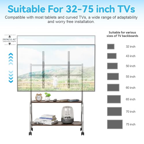 Newuzis Mobile TV Stand, 32-75 Inch Rolling TV Cart with Locking Wheels 2-Tier Storage Shelves 110lbs Capacity for Home Office Classroom Stainless Steel