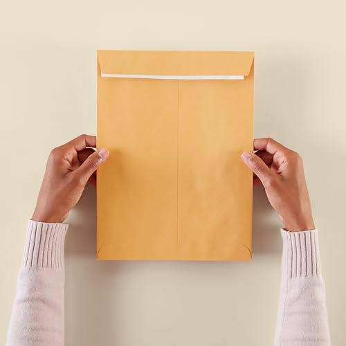 Amazon Basics Catalog Self Seal Mailing Envelopes for Documents, Peel and Seal, 9" x 12", Brown Kraft, 250-Pack