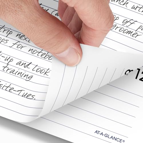 AT-A-GLANCE 2025 Planner Refill, Weekly & Monthly, 7" x 8-3/4", Medium, Executive, DayMinder, Refill for G545 Line Planners (G5455025)
