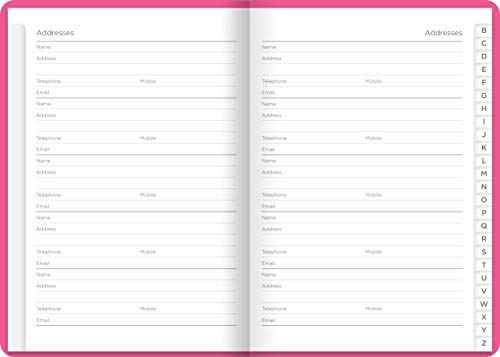 Letts Dazzle A6 Address Book Pink