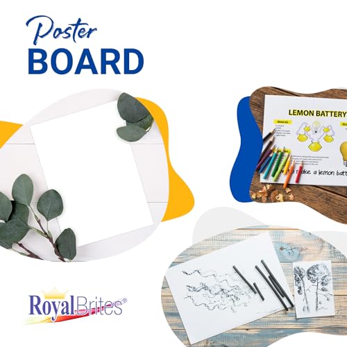 Royal Brites White Poster Board - 2-Sided, Water & Fade Resistant - 22 x 28 in, 100 Sheets