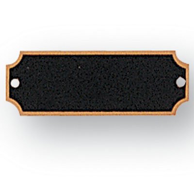 SHOP AWARDS AND GIFTS 2-1/2 x 7/8 Inch Perpetual Plaque Award Blank Name Plate, Black Screened Brass, Pack of 16