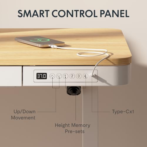 FLEXISPOT Comhar 48" Electric Standing Desk with Drawers, USB Charging Ports, Quick Assembly, Height Adjustable Sit Stand Computer Desk with Child Lock for Scandinavian Home Office, Maple