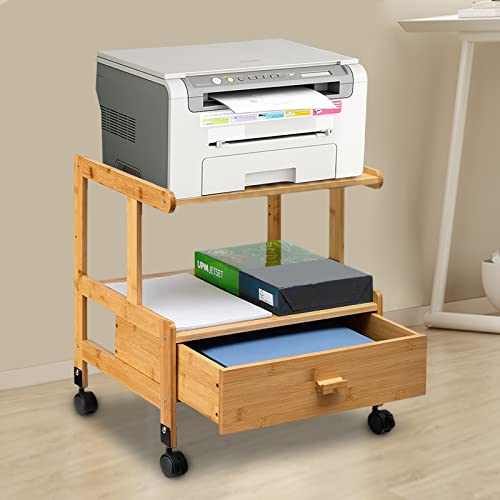 FALUSHAN Wood File Cabinet, Mobile Lateral Filing Cabinet on Wheels Printer Stand with Open Storage Shelves for Home Office (Two Layers with Drawers)