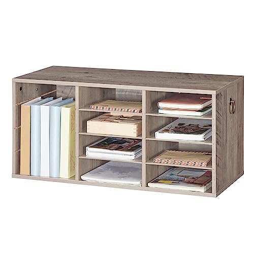 HOOBRO Countertop Mail Sorter Organizer, Wooden Literature Organizer, Student Mailbox for Classroom, Desktop Bill Organizer for Office Home School, 12 Compartments, Greige BG43WF01