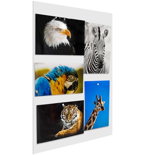 Foam Board 20 x 30 x 3/16"(5mm), Foam Core Board Sheets, White Poster Board
