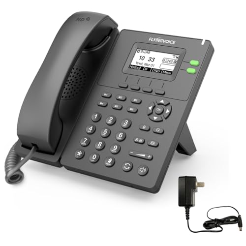 FLYINGVOICE P20P Business VoIP Phone (NOT a Landline, Requires SIP Service), 2 Lines, Built-in 2.4GHz WiFi (AP Mode & WiFi to LAN), USB Port, Dual Ethernet Ports, SIP IP Phone for Office