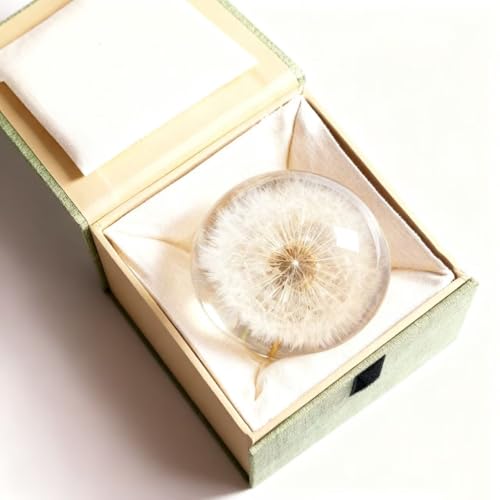 DESHINTKE Real Dandelion Specimen Ball Paperweight Desktop Decor Decoration (X-Large)