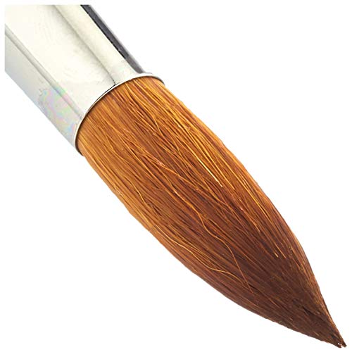 Winsor & Newton Professional Watercolour Synthetic Brush, Round #16